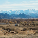 Trans-Siberian Railway